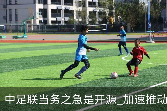 中足联当务之急是开源 加速推动中国足球职业化